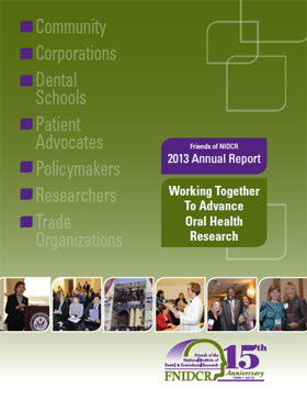 fnidcr annual report 2013